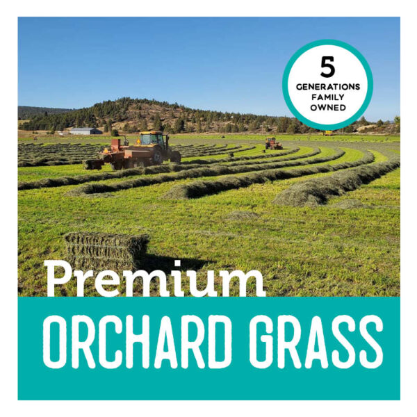 McLin Family Farms Premium Orchard Grass