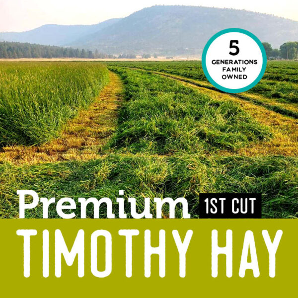 Premium 1st Cut Timothy Hay 5 Generations Family Owned